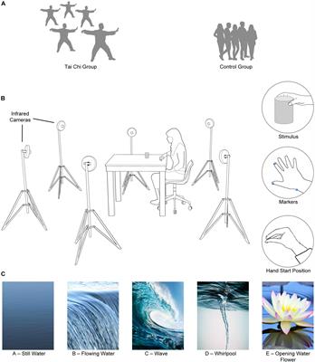 The Shape of Water: How Tai Chi and Mental Imagery Effect the Kinematics of a Reach-to-Grasp Movement